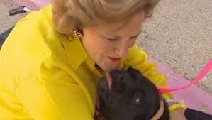 Rescue dog turns the tables and rescues owner