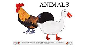 Lucas pribyl was born on july 16, 1992 in uherský brod, czech republic. Animals For Infants Ebook Pribylova Petra Pribyl Lukas Pribyl Lukas Amazon In Kindle Store
