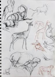 If you are interested in showing your students this stuffed animals in art presentation, visit my tpt shop! Animal Studies Animal Sketches Animal Drawings Drawings