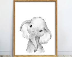 Pin On Baby Animal Watercolours