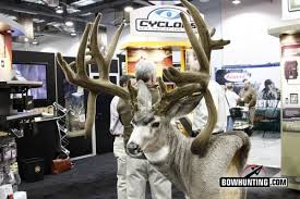 Mule deer hunting deer hunting tips taxidermy decor deer photography big deer deer mounts hunting pictures wildlife decor trophy rooms. Cody Robbins S New Non Typical World Record Mule Deer Or Is It
