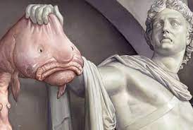 Blobfish live in deep water just off the ocean floor around southeastern australia and tasmania. The Blobfish 5 Facts About The Ocean S Ugliest Mug 30a