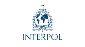 Interpol enables police in our 194 member countries to work together to fight international crime. The Eu Supported Organisation Interpol Targets Terrorist Mobility And Illicit Weapons In Middle East And North Africa Eu Neighbours