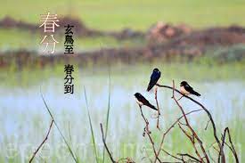 The site owner hides the web page description. ç¯€æ°£ å¤©åœ°äººå'Œåˆæ˜¥åˆ†ä¸€åˆ»å€¼åƒé‡' å¾©æ´»è›‹ æ˜¥åˆ†ä¿—è«º æ˜¥åˆ†é¢¨ä¿— å¤§ç´€å…ƒ