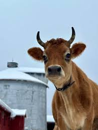 Temple-Wilton Community Farm