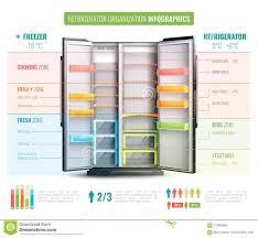 Refrigerator Organization Infographics Stock Vector