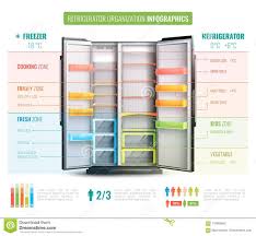 refrigerator organization infographics stock vector