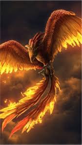 Also you can download wallpaper for mobile devices (iphone, smartphones and tablets). Phoenix Bird Fire Orange Hop Red Hd Mobile Wallpaper Peakpx