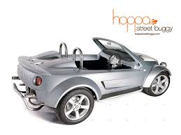 Pin By Tom Wood On Vw Vw Dune Buggy Dune Buggy Beach Buggy
