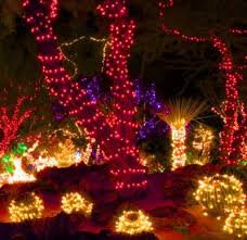 Since we visited at christmastime, our pictures show the cactuses decorated with all colors of christmas lights. Free Event Ethel M S Cactus Garden Valentine S Love Lights Display 2 1 2 14 Valentines Free Event Cactus Garden