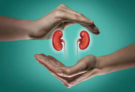 Management of acute renal failure. Kidney Failure Mydr Com Au