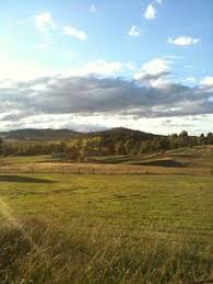 Now the regional nsw town of orange is on the lockdown list after covid seeped out of sydney hitching a ride on a delivery driver. 60 Orange Nsw Australia Ideas Australia Orange Cook Park