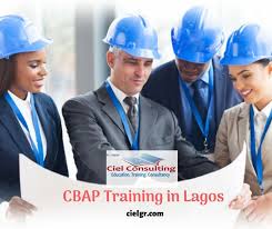 Why Should You Pursue Cbap Training In Lagos In 2020 Business Analysis Business Analyst Security Training