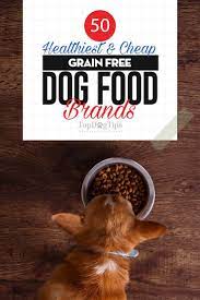 The 50 Best Grain Free Dog Foods Dog Food Recipes Grain Free Dog Food Free Dog Food