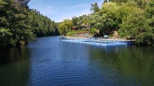 Com corrente constante durante todo o verão, dispõe de caiaques e gaivotas para aluguer e piscina flutuante com espaço para crianças. Praia Fluvial Do Malhadal Picture Of Praia Fluvial Do Malhadal Proenca A Nova Tripadvisor