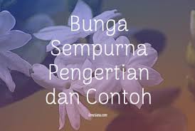 Secara tidak langsung, dasar bunga merupakan fondasi yang menahan seluruh bagian bagian bunga. Bunga Sempurna Contoh Dan Pengertian Ilmusiana
