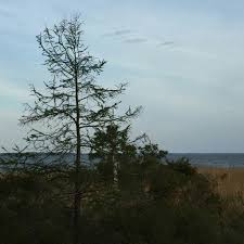 Pooja Datta, Psychologist, PHD in Washington, DC