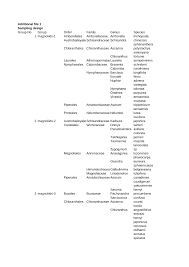 Image result for Flabellariopsis acuminata