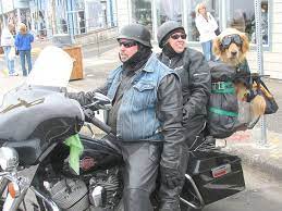 Three Is A Crowd Biker Dog Big Girl Toys Biker Gear