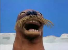 Giant Walrus Walrus Giants Pingu
