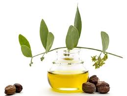 Beauty 5 Benefits Of Jojoba Oil Vs Coconut Oil In 2020 Jojoba Oil Benefits Eczema On Hands Jojoba Oil