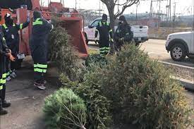 Check spelling or type a new query. Dc Launches Collection Program To Pick Up Christmas Trees Wtop