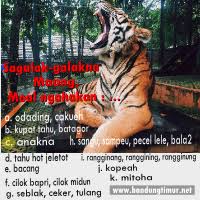 Bahasa sunda dituturkan di hampir seluruh provinsi jawa barat, banten, dan sebagian jawa tengah. Koleksi Dp Bbm Kata Kata Paribasa Sunda Bergambar