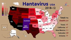 They are carried by several types of rodents, particularly the deer mouse. Map Timelapse Of The Hantavirus In The Usa 1993 2018 Youtube