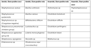 17 Paradigmatic Bacterial Identification Flowchart