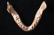 Tmj or tmd stands for temporomandibular joint dysfunction / disorder. Genetics To Unlock Secrets Of Our African Past Nature