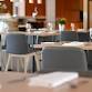 Bloom Dinner Series featuring Afrim Pristine from.... event in Lower Hutt