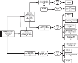 brain tissue oxygen monitoring in traumatic brain injury and