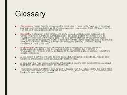 Degenerative Spine Disease Merve Grkk Spinal Cord The