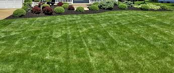 Professional lawn care prices will vary based on the regional cost to do business and regional cost of labor, the size of your lawn, and any additional services you may desire such as edging or mulching. Lawn Mowing Services In Sandusky Huron Vermilion Oh Executive Lawn Landscape
