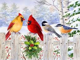 Beautiful Bird Paintings On Canvas Birds Painting Hd Pictures Wallpapers Beautiful Wallpapers Hd Birds Painting Christmas Bird Beautiful Birds