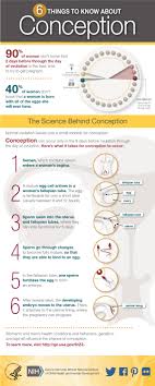 Pin On Preconception Conception
