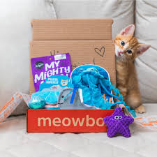 Just like any other pets, cats require special care and diet! Amazon Com Meowbox The Subscription Box For Cats Memberships And Subscriptions