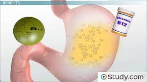 We did not find results for: Vitamin Supplements Benefits Risks Video Lesson Transcript Study Com