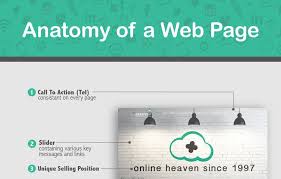 Anatomy Web Anatomy Drawing Diagram