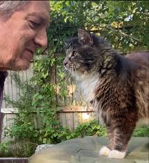 Apparently it's National Cat Day so...this is Tink. Tink is NOT our  cat..I'm not sure how she came to the conclusion that she IS our cat..it  couldn't possibly have ANYTHING to do