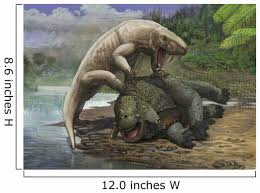 Image result for Scutosaurus