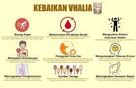 Caranya adalah hiris halia dalam satu atau dua inci dan rendamkan di dalam air panas bersama uncang teh (kalau teh hijau lagi bagus). Patutlah Wanita Digalakkan Minum Air Halia Setiap Hari Punyalah Banyak Khasiatnya Mingguan Wanita