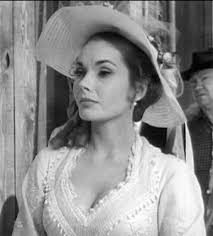 Television's New Frontier: The 1960s: Wagon Train (1961)