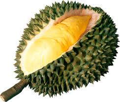 Free transparent png images for everyone. Gia Trá»‹ Cá»§a Cay Sáº§u Rieng Boom