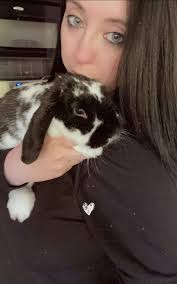 What to put in a dig box for rabbits?