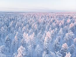 The number one item of everybody's finnish bucketlist is to experience the northern lights (the green rays of light seen at the beginning of disney's frozen).your chances of seeing the northern lights are the best in the lapland region of finland but remember that luck is a. Lappland Finnland Fotografie Steffen Schnur Winter