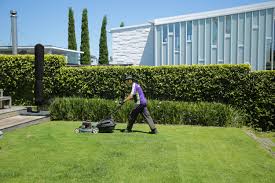 A plus lawn and garden. Lawn Mowing Services New Zealand Wide Crewcut Lawn Garden