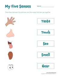 Five Senses Activity Tim S Printables Senses Preschool Senses Activities Five Senses Worksheet
