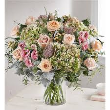 We did not find results for: 1 800 Flowers Enchanting Bakersfield Ca