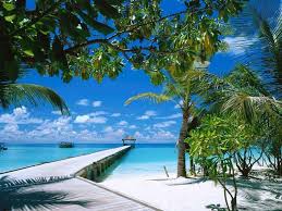 About the same size as germany. San Jose Beach Encarnacion Paraguay Creative Lunatics Beach Wallpaper Beach Background Beach Scenes